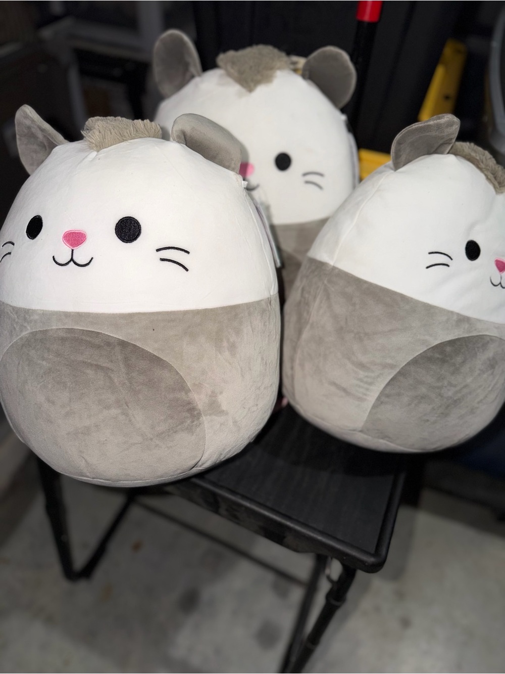 🤩Bundle of 3 - Soft Gray & White Cat Plush for Pets | Cute Round Cat Toy